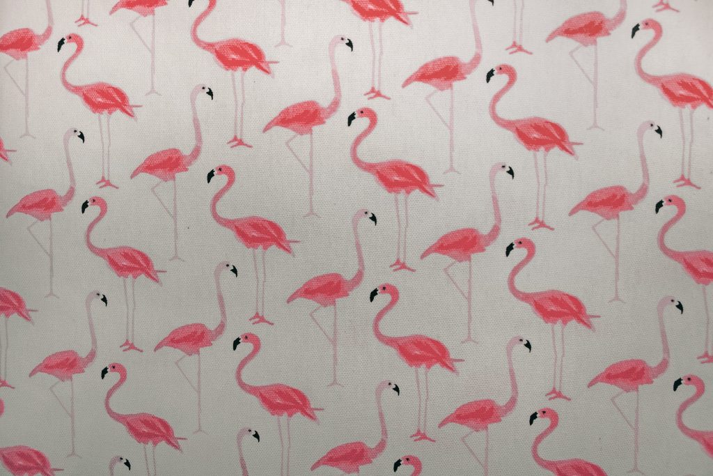 Behang tips en trucs: stap-voor-stap uitleg voor het correct ophangen van behang op de muur