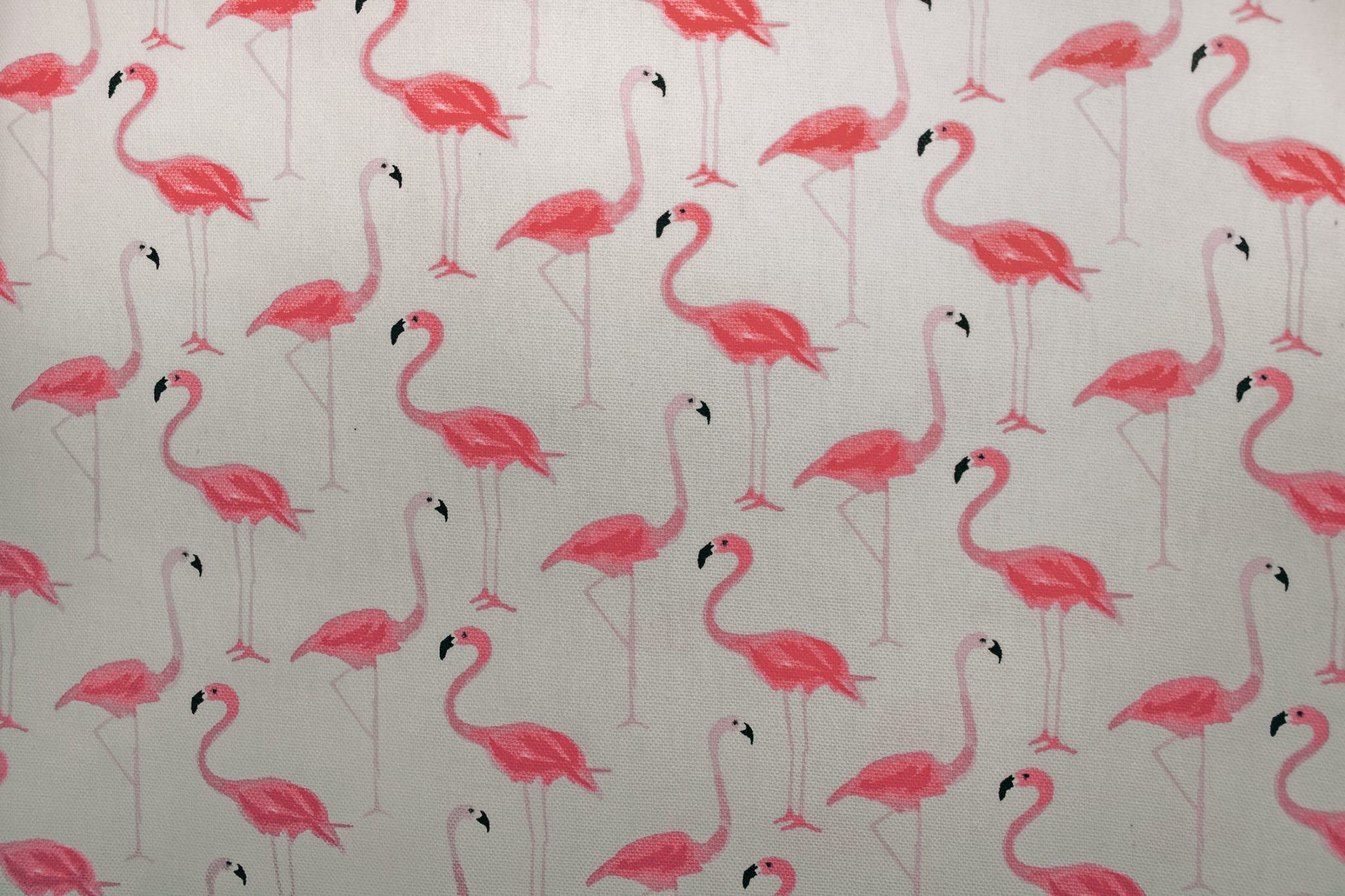 Behang tips en trucs: stap-voor-stap uitleg voor het correct ophangen van behang op de muur