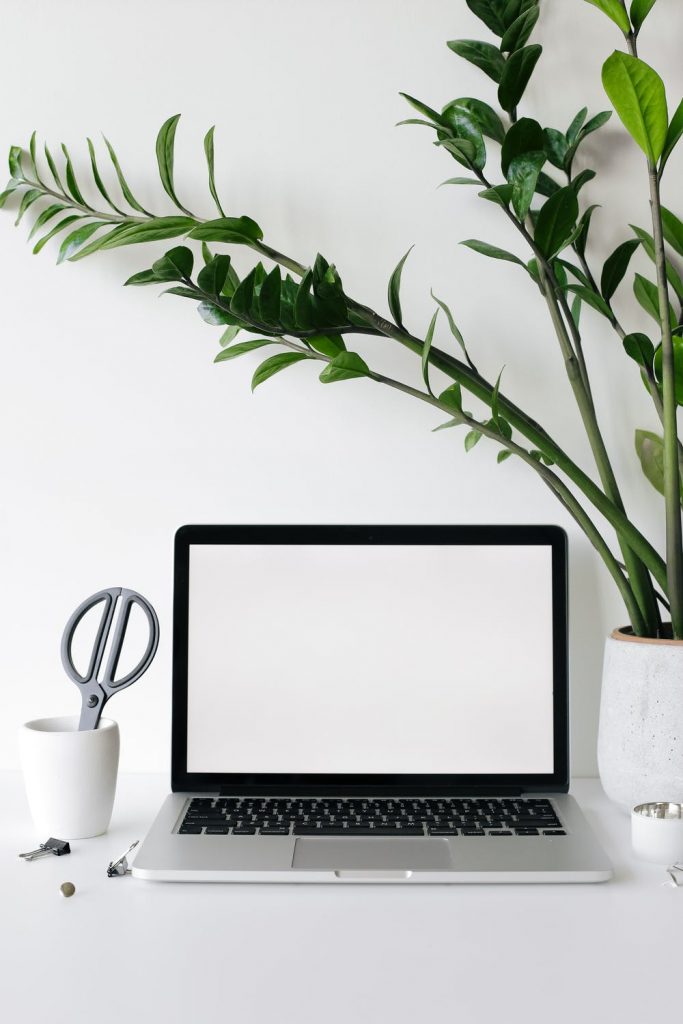 Modern kantoor met goede verlichting, ergonomische werkplekken en planten voor herinrichting kantoorruimte