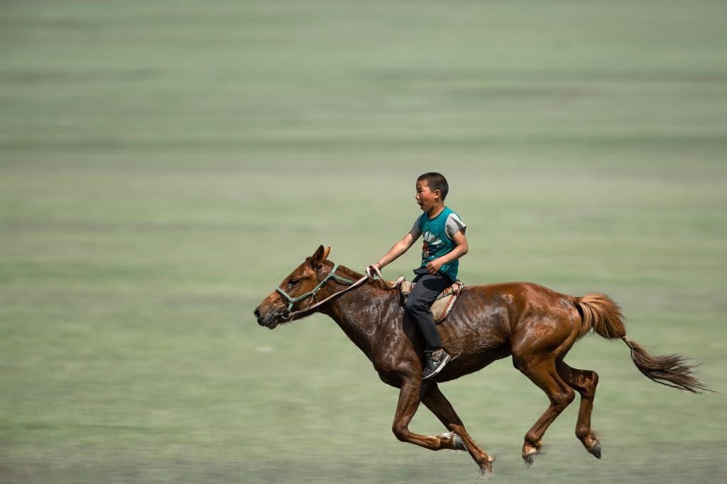 Manege in Barendrecht met moderne trainingsruimtes en goed onderhouden stallen voor paardensportliefhebbers